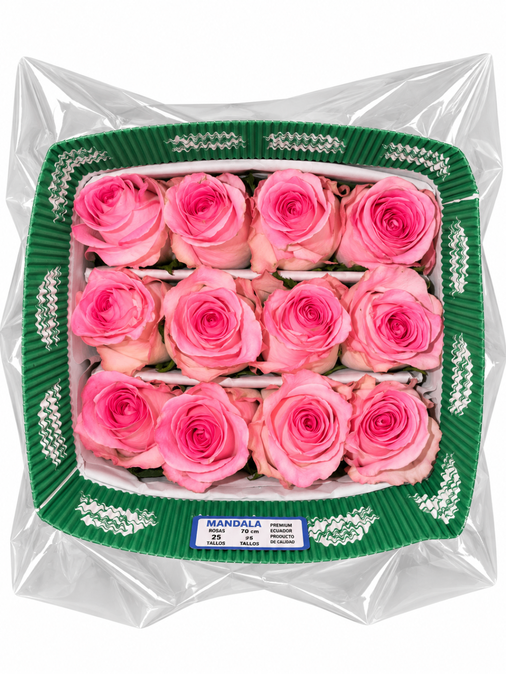 Rosas Rosa Claro, vista del producto
