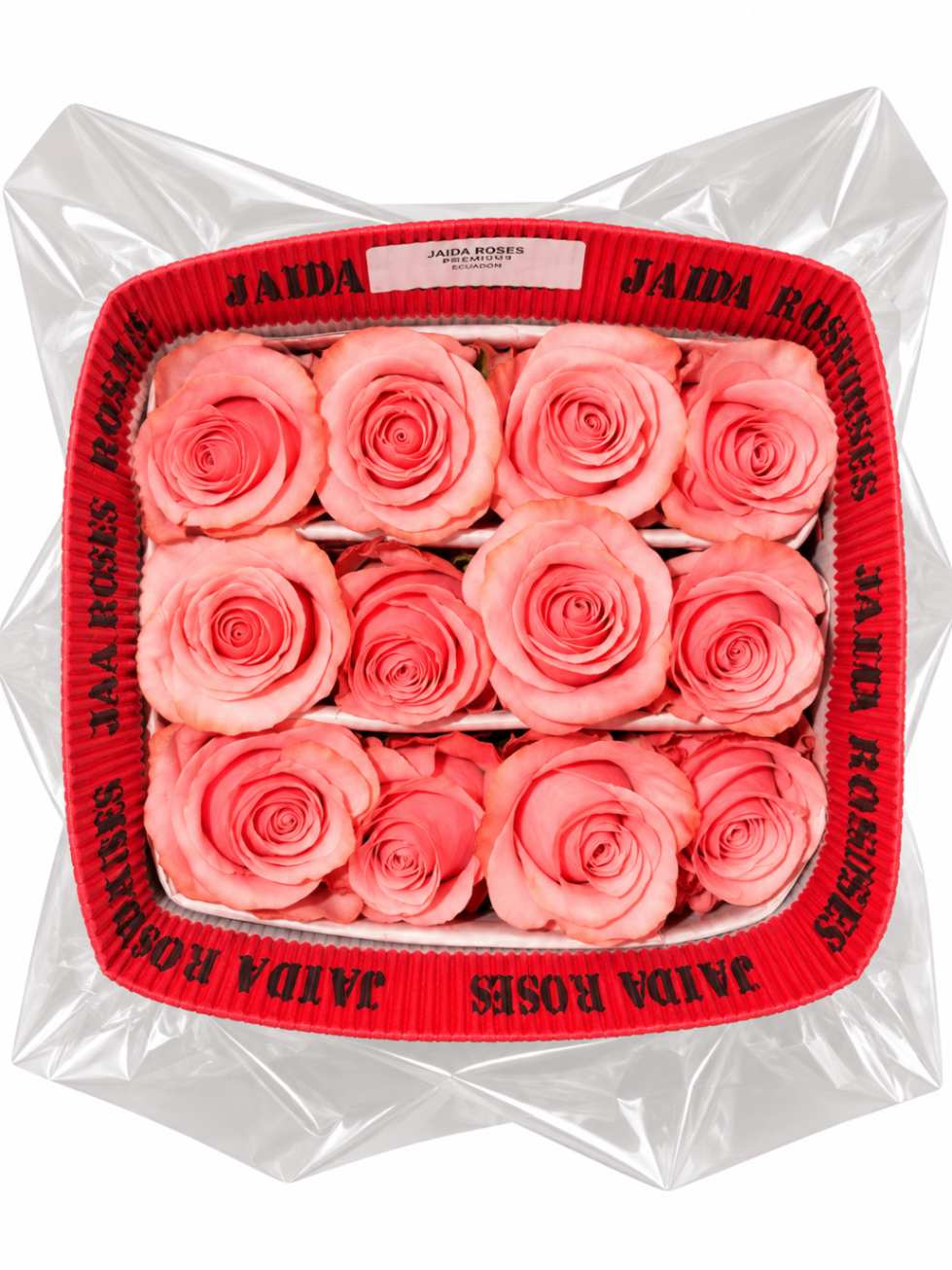 Rosas Coral, vista del producto