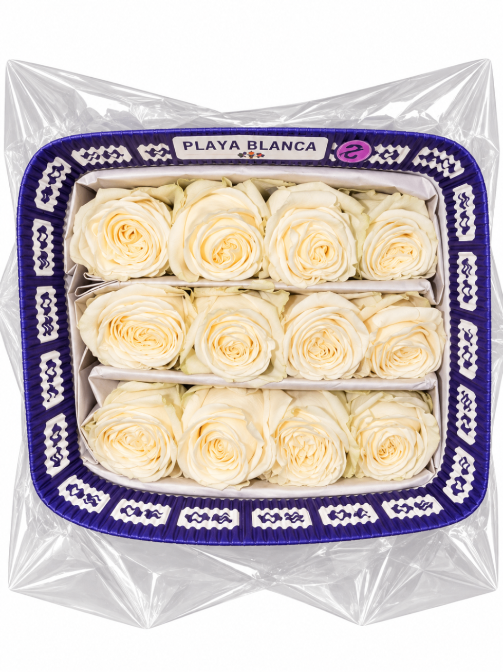 Rosas Blancas, vista del producto